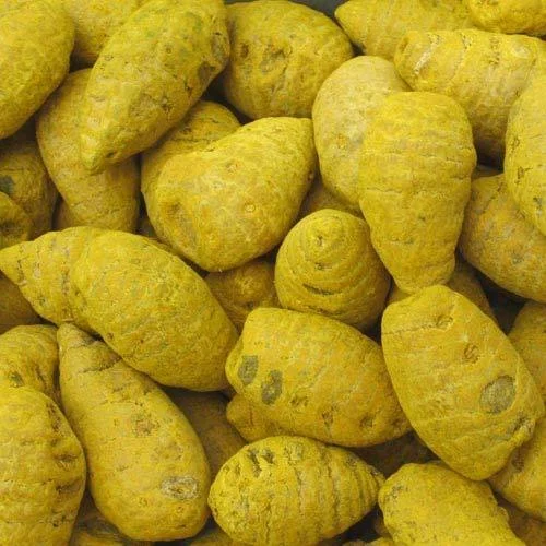 Nizamabad Turmeric Bulbs